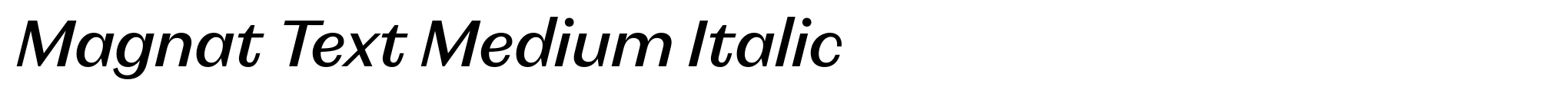 Magnat Text Medium Italic image